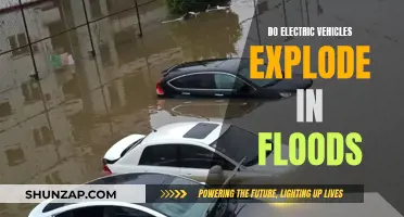 Electric Vehicles and Floods: Explosion Risk?