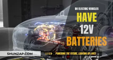 Electric Vehicles: Unveiling the Mystery of 12V Batteries