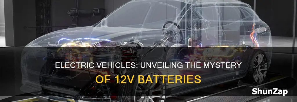 do electric vehicles have 12v batteries