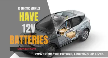 Electric Vehicles and Their 12V Batteries: What's the Deal?