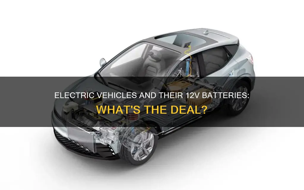 do electric vehicles have 12v batteries