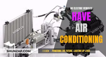 Electric Vehicles: Air Conditioning Standard or Luxury?