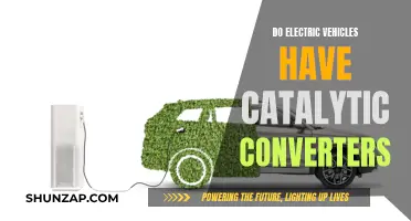 Electric Vehicles: Do They Need Catalytic Converters?