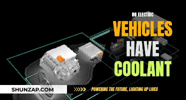 The Coolant Conundrum: Do EVs Need It?