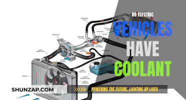 Coolant in Electric Vehicles: What's the Deal?