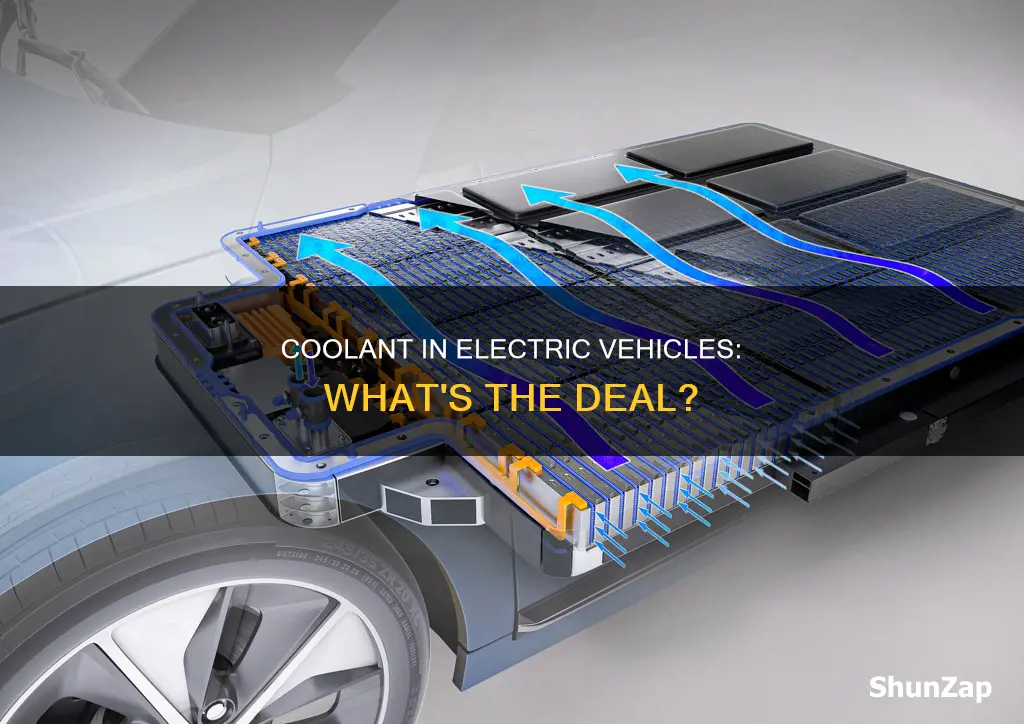 do electric vehicles have coolant
