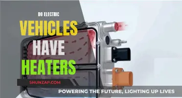 Electric Vehicles: The Truth About Their Heaters