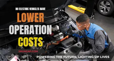 Electric Vehicles: Cheaper to Run?