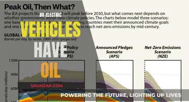 Electric Vehicles: Do They Still Need Oil?