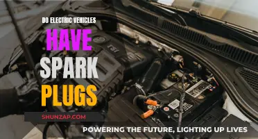 Electric Vehicles: Spark Plug-Free or Not? Unraveling the Mystery