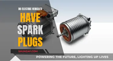 Electric Vehicles: Spark Plugs or Not?
