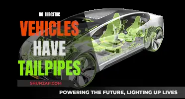 Electric Vehicles: Tailpipe-Free or Not?