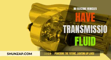 Electric Vehicles: Transmission Fluid Requirements and Maintenance