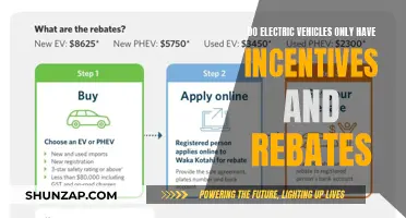 Beyond Incentives: The Hidden Benefits of Electric Vehicles