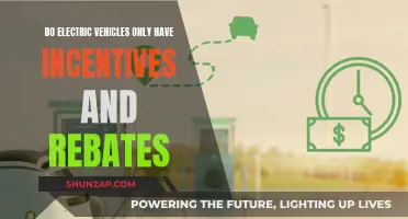 Electric Vehicles: Beyond Incentives and Rebates