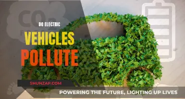 Electric Vehicles: Clean Energy or Hidden Pollution?