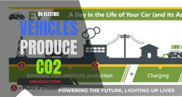 Electric Vehicles: CO2 Emission Fact Check