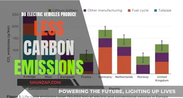 Electric Vehicles: Green Revolution or Carbon Conundrum?