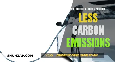 Electric Vehicles: Less Carbon, Greener Future?