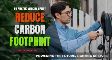 Electric Vehicles: Carbon Footprint Reduction or Greenwashing?