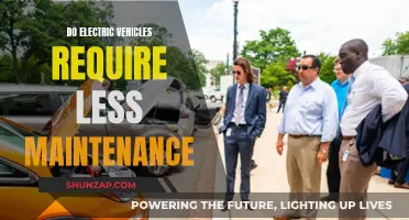 Electric Vehicles: Less Maintenance, More Benefits?