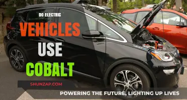 Electric Vehicles and Cobalt: Uncovering the Role of This Critical Mineral