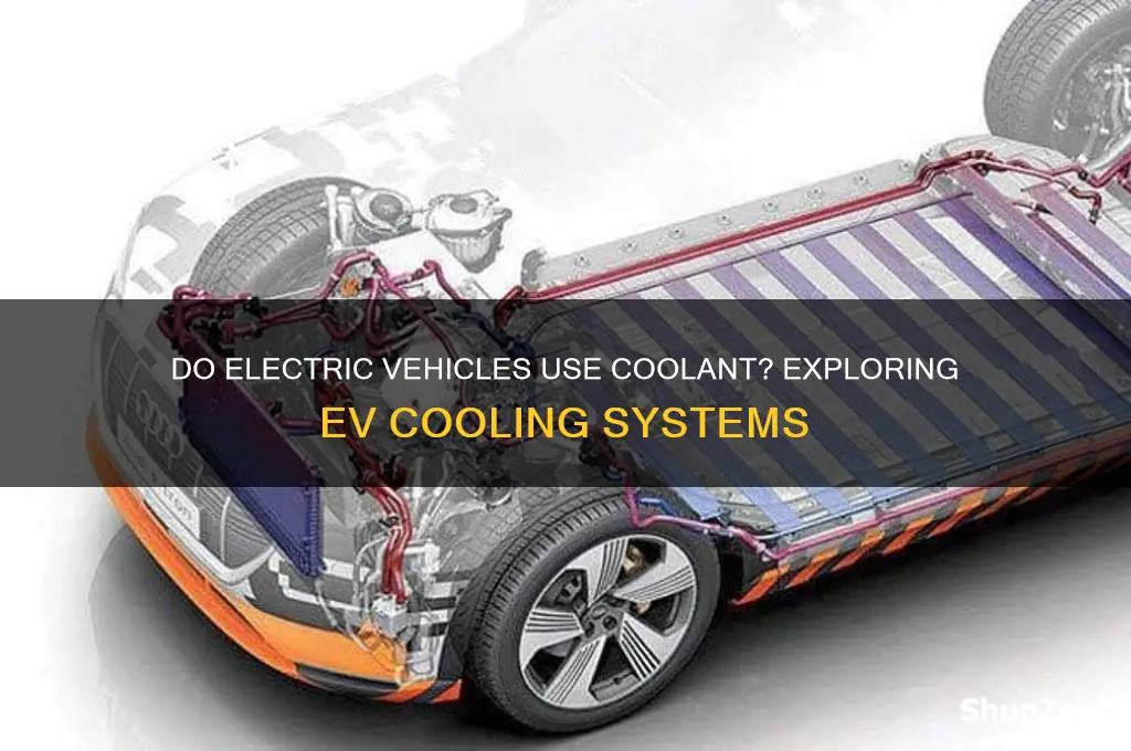 do electric vehicles use coolant