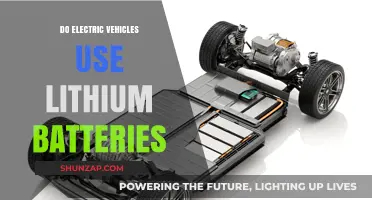 Electric Vehicles and Lithium Batteries: Powering the Future of Transportation