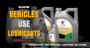 Electric Vehicles and Lubricants: Do They Still Need Oil?