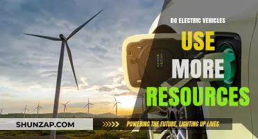 Electric Vehicles: Resource-Intensive or Sustainable Transportation Solution?