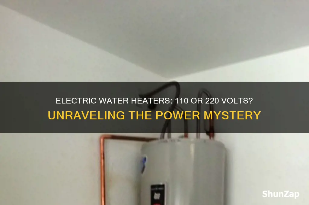 do electric water heaters use 110 or 220