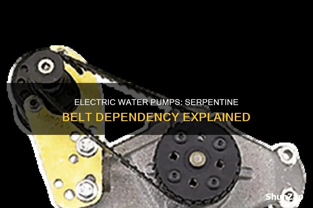 do electric water pumps use serpentine belt