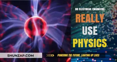 Do Electrical Engineers Really Use Physics in Their Daily Work?