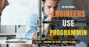 Do Electrical Engineers Code? Exploring Programming in Electrical Engineering
