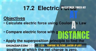 Electrical Forces: Distance Action Explained