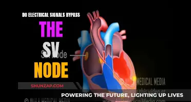Electrical Signals: Bypassing the SV Node?