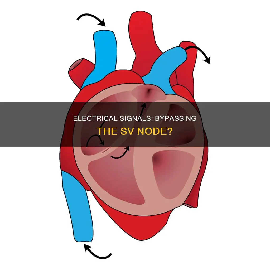do electrical signals bypass the sv node