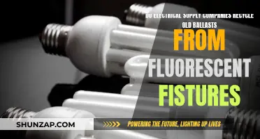 Electrical Companies: Recycling Old Ballasts from Fluorescent Fixtures?
