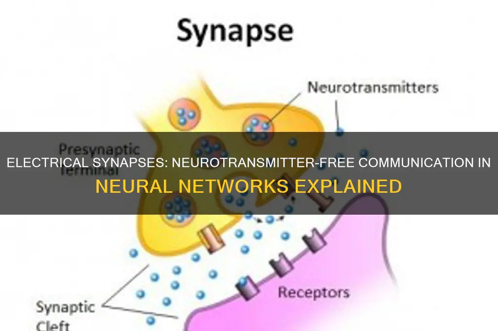 do electrical synapses use neurotransmitters