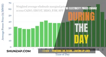 Electricity Prices: Do They Fluctuate Throughout the Day?