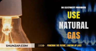 Electricity Providers and Natural Gas: Uncovering the Energy Connection