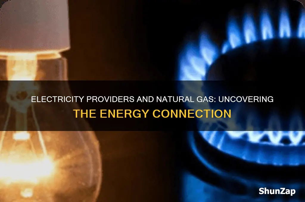 do electricity providers use natural gas