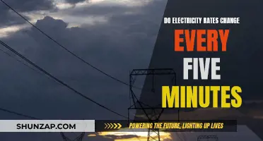 Electricity Rates: Dynamic Pricing and 5-Minute Intervals