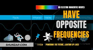 Understanding Electromagnetic Waves: Exploring Opposite Frequencies