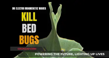 Can Electromagnetic Waves Be Used to Kill Bed Bugs?