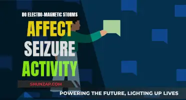Do Electromagnetic Storms Trigger Seizure Activity?