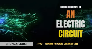 How Electrons Move in Electric Circuits