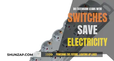 Switches and Leads: Energy Saving Power Play