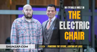 Eyeballs in Electric Chairs: Do They Melt?
