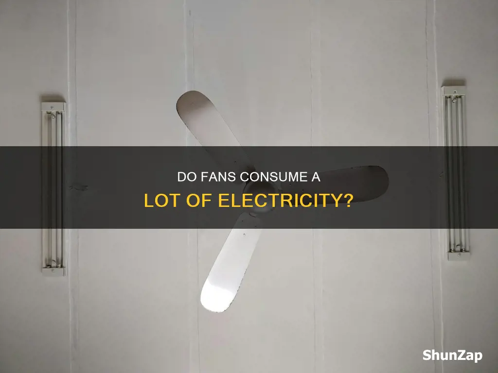 do fans burn a lot of electricity